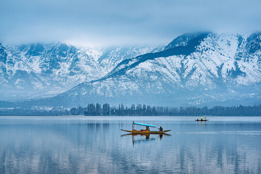 Nature View